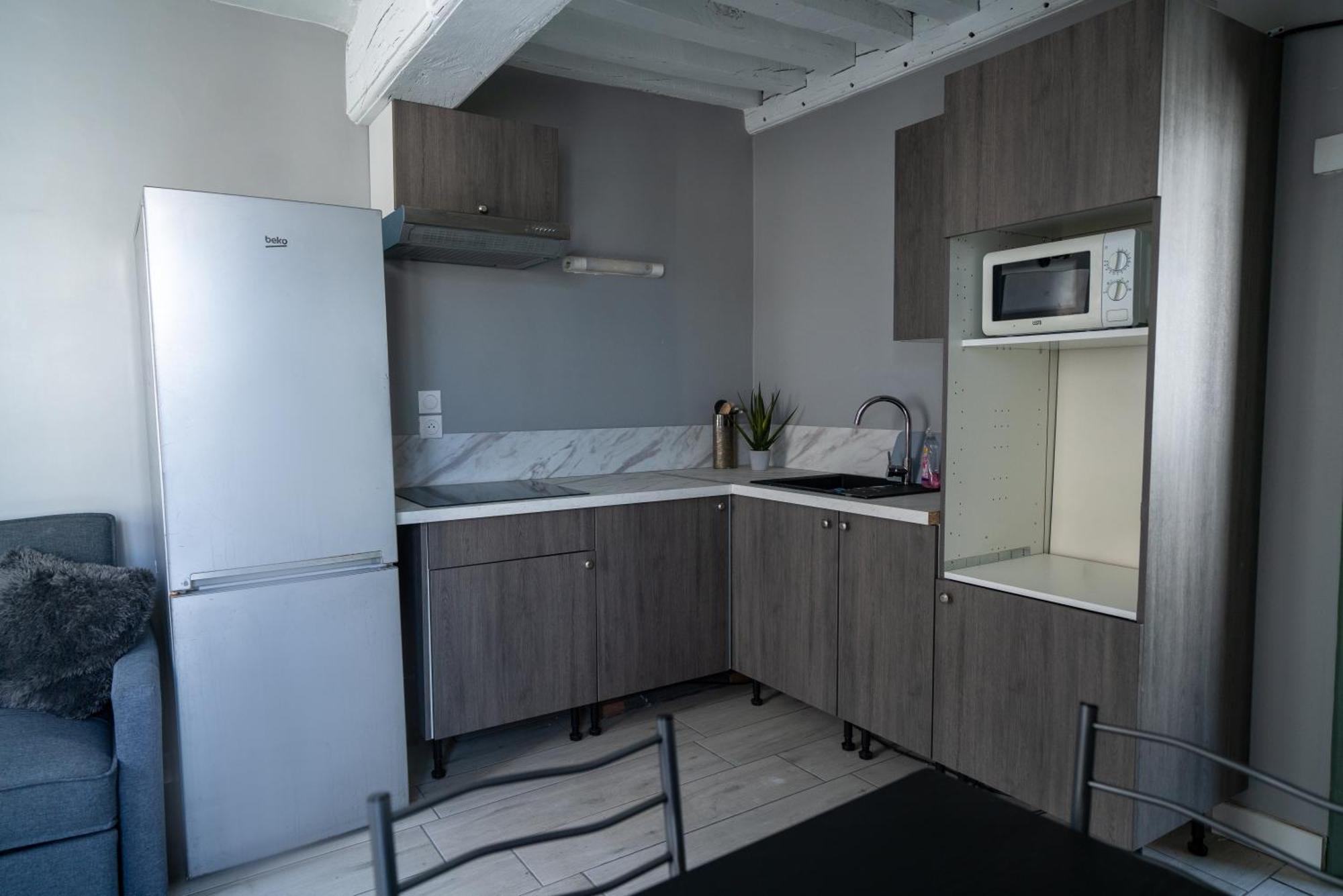 Celeste Appart - Grand Appartement Centre Ville - Refait A Neuf Ορλεάνη Εξωτερικό φωτογραφία